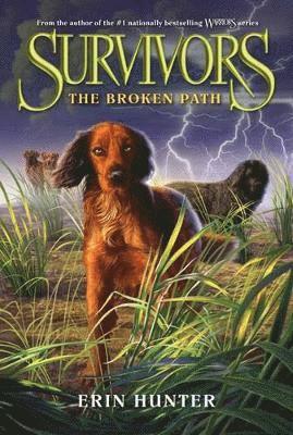 Erin Hunter - The Broken Path, Häftad