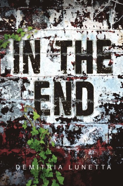 Demitria Lunetta - In the End, E-bok