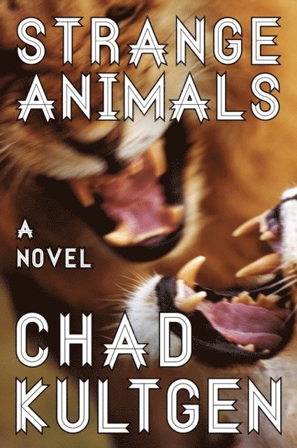 Chad Kultgen - Strange Animals, E-bok