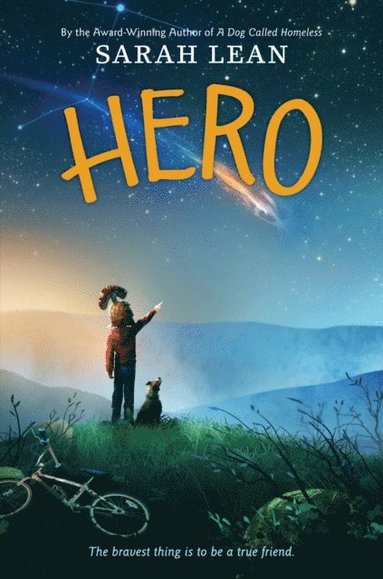 Sarah Lean - Hero, E-bok