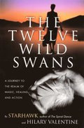 Twelve Wild Swans