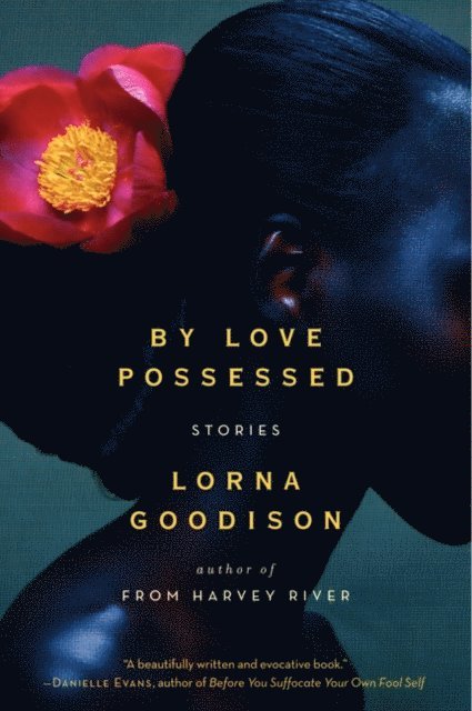 Lorna Goodison - By Love Possessed, E-bok