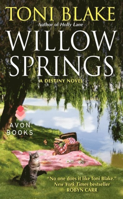 Toni Blake - Willow Springs, E-bok