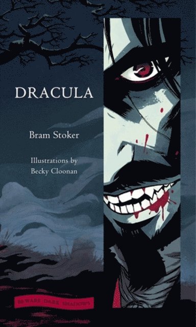 Bram Stoker - Dracula, E-bok