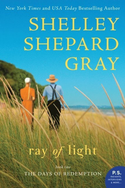 Shelley Shepard Gray - Ray of Light, E-bok