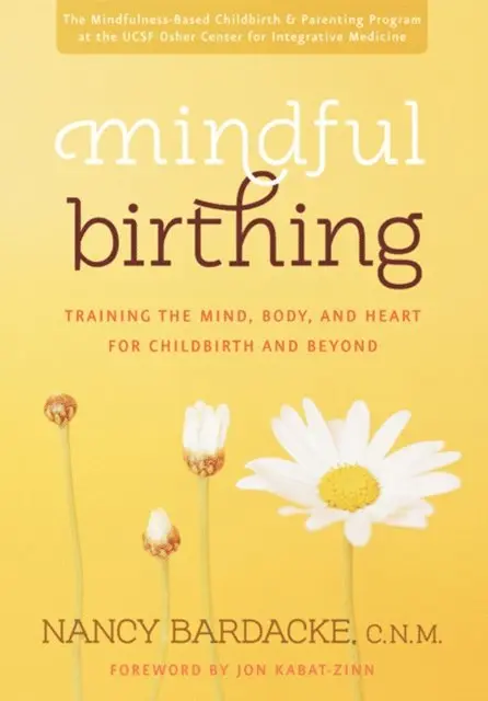 Nancy Bardacke - Mindful Birthing, E-bok. Tillgänglighet: Lägg i varukorg