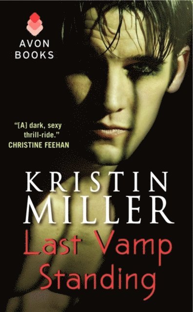Kristin Miller - Last Vamp Standing, E-bok