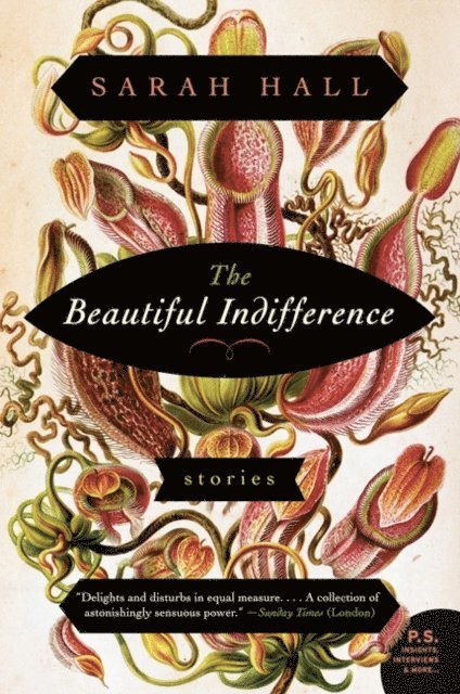 Sarah Hall - Beautiful Indifference, E-bok