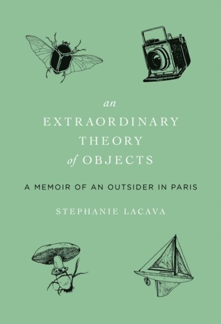 Stephanie LaCava - Extraordinary Theory of Objects, E-bok