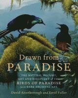 Drawn From Paradise