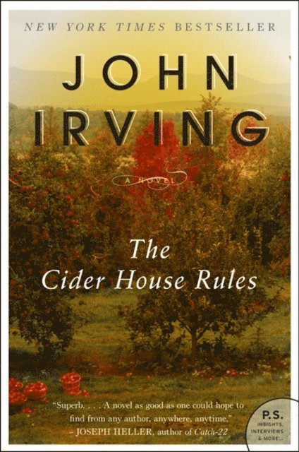 John Irving - Cider House Rules, E-bok