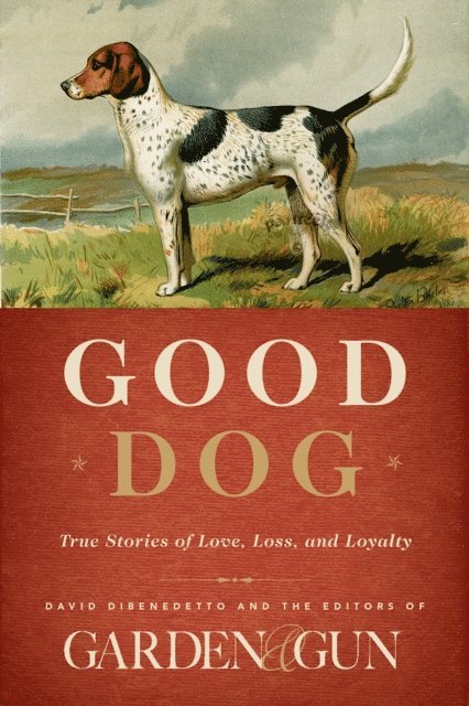 David DiBenedetto, Editors of Garden and Gun - Good Dog, E-bok