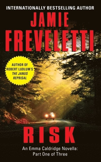 Jamie Freveletti - Risk, E-bok
