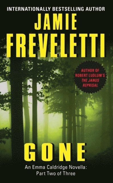 Jamie Freveletti - Gone, E-bok