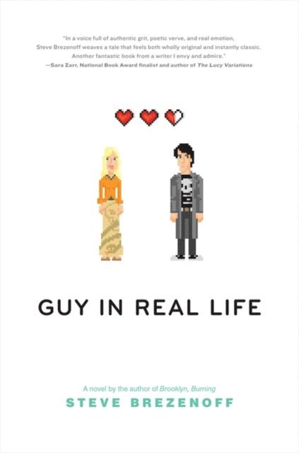 Steve Brezenoff - Guy in Real Life, E-bok