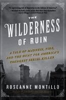 Roseanne Montillo - The Wilderness of Ruin: A Tale of Madness, Fire, and the Hunt for America's Youngest Serial Killer, Häftad