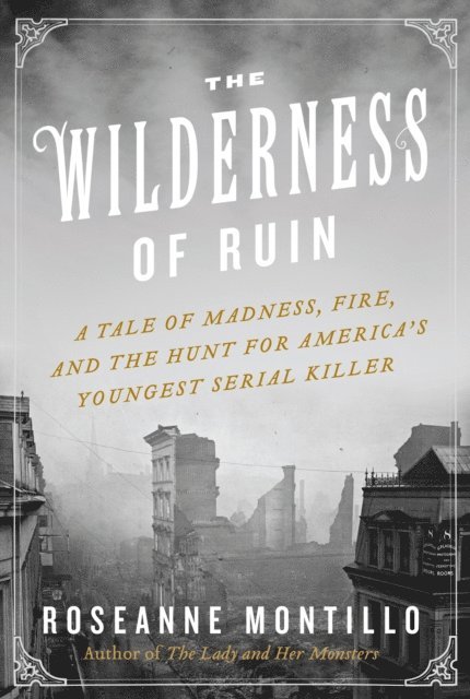 Roseanne Montillo - Wilderness of Ruin, E-bok