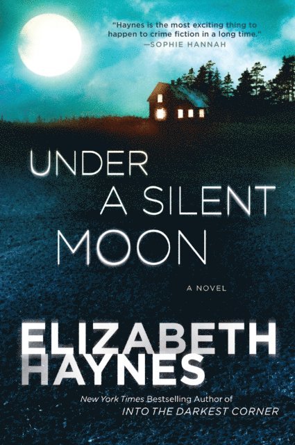 Elizabeth Haynes - Under a Silent Moon, E-bok