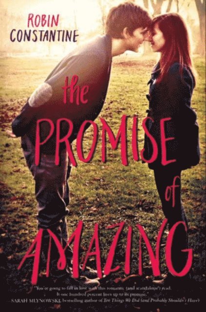 Robin Constantine - Promise of Amazing, E-bok