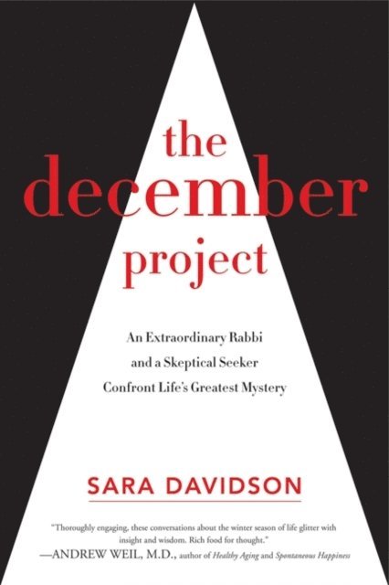 Sara Davidson - December Project, E-bok