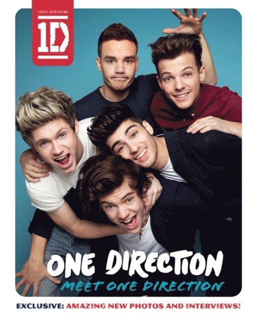 One Direction - One Direction: Meet One Direction, E-bok