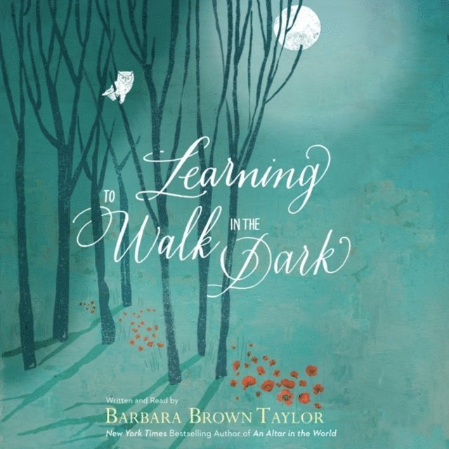 Barbara Brown Taylor - Learning to Walk in the Dark, Ljudbok