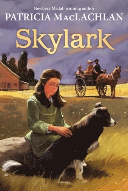Patricia MacLachlan - Skylark, E-bok