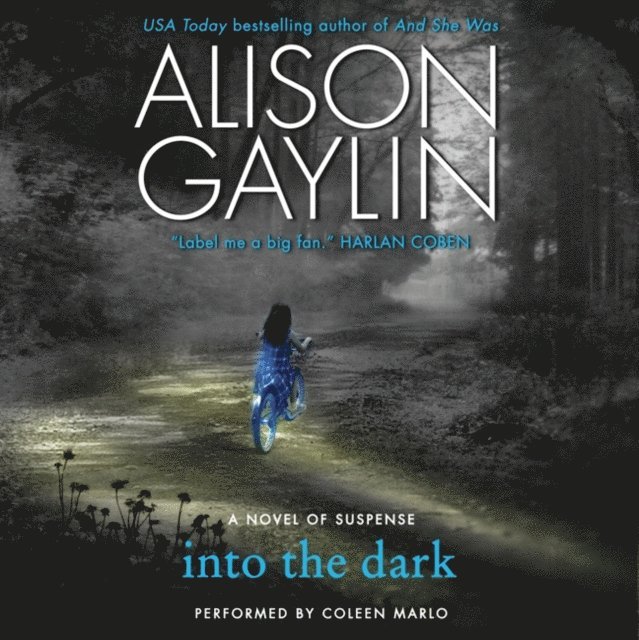 Alison Gaylin - Into the Dark, Ljudbok