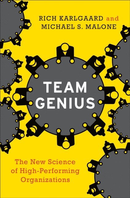 Michael S. Malone, Rich Karlgaard - Team Genius, E-bok