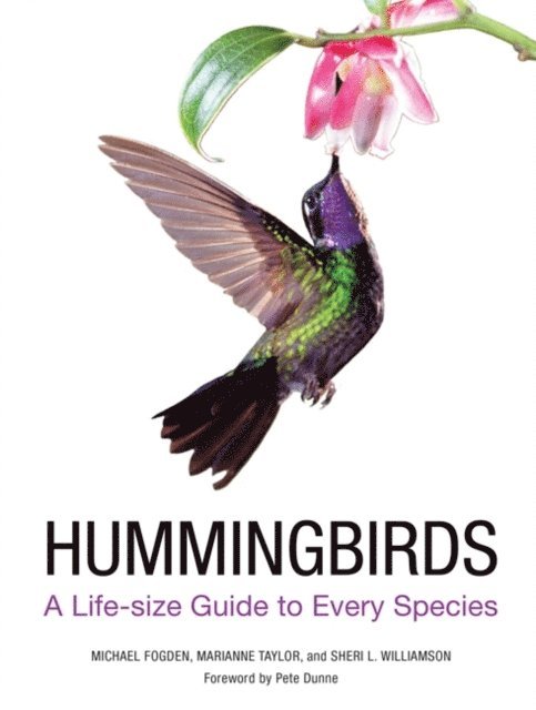 Sheri L. Williamson, Marianne Taylor, Michael Fogden - Hummingbirds, E-bok