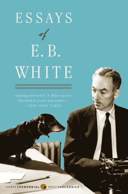 E. B. White - Essays of E. B. White, E-bok
