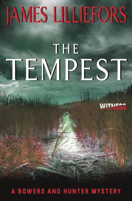 James Lilliefors - Tempest, E-bok