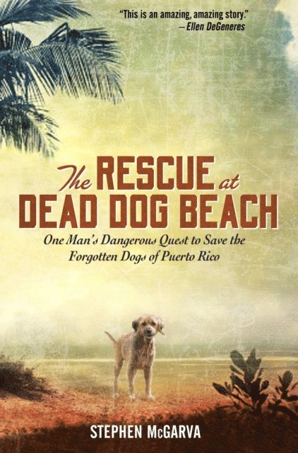 Rescue at Dead Dog Beach
