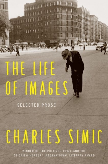 Charles Simic - Life of Images, E-bok