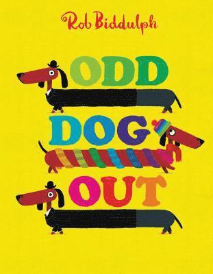 Rob Biddulph - Odd Dog Out, Inbunden