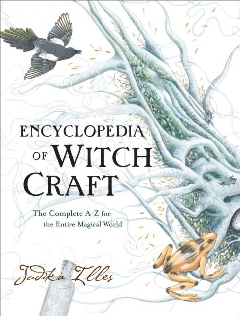 Judika Illes - Encyclopedia of Witchcraft, E-bok