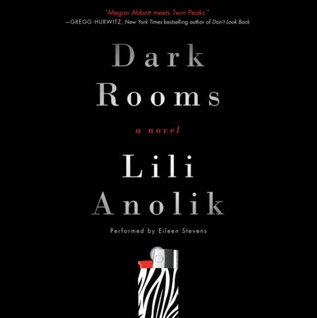 Lili Anolik - Dark Rooms, Ljudbok
