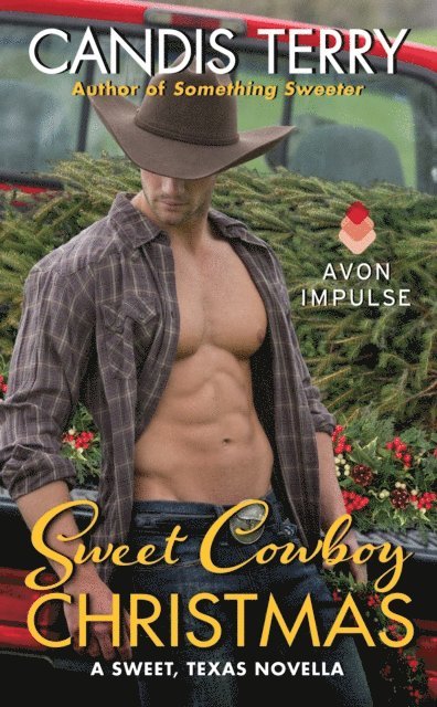 Candis Terry - Sweet Cowboy Christmas, E-bok