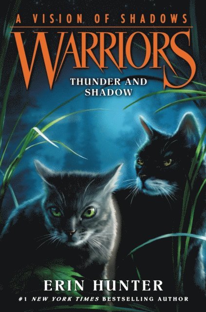 Erin Hunter - Warriors: A Vision of Shadows #2: Thunder and Shadow, E-bok