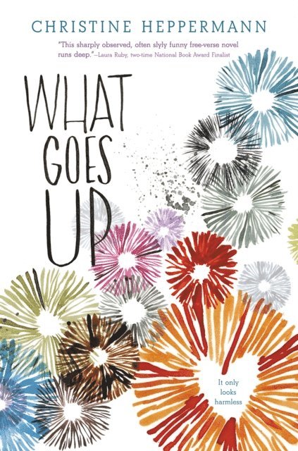 Christine Heppermann - What Goes Up, E-bok