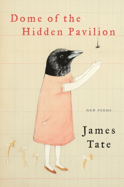 James Tate - Dome of the Hidden Pavilion, E-bok