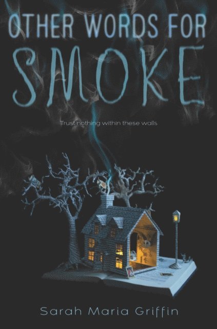 Sarah Maria Griffin - Other Words for Smoke, E-bok