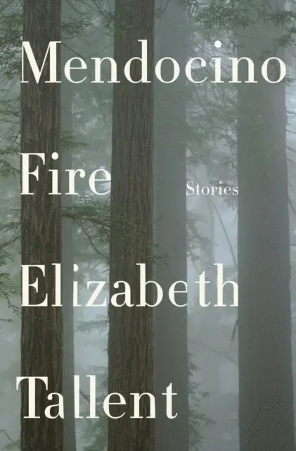 Elizabeth Tallent - Mendocino Fire, E-bok. Tillgänglighet: Lägg i varukorg