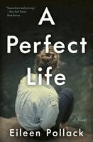 Eileen Pollack - A Perfect Life, Häftad