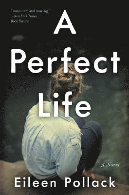 Eileen Pollack - Perfect Life, E-bok