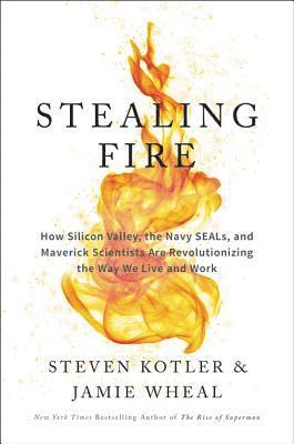 Jamie Wheal, Steven Kotler - Stealing Fire, E-bok