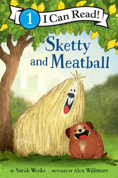 Sarah Weeks - Sketty and Meatball, Häftad