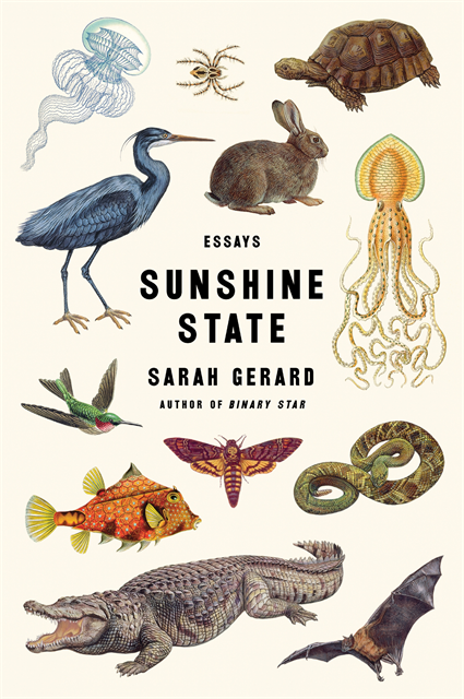Sarah Gerard - Sunshine State, E-bok