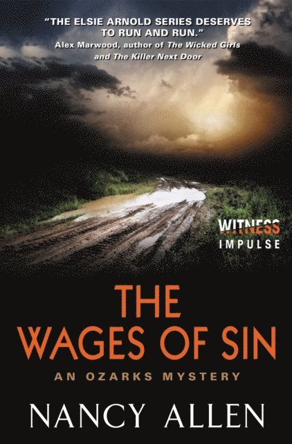 Nancy Allen - Wages of Sin, E-bok