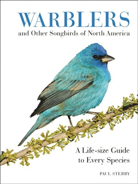 Paul Sterry - Warblers and Other Songbirds of North America, E-bok